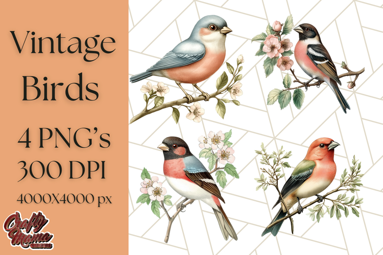 Vintage Song Bird Clipart PNG, Botanical Bird Art Clip Art