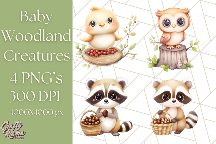 Forest Png Image 13