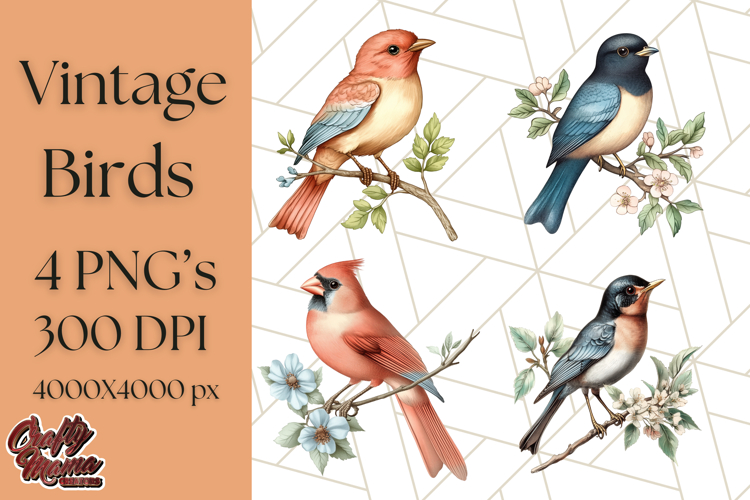 Vintage Song Bird Clipart PNG, Botanical Bird Art Clip Art