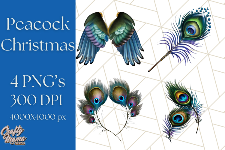 Peacock Png Image 9