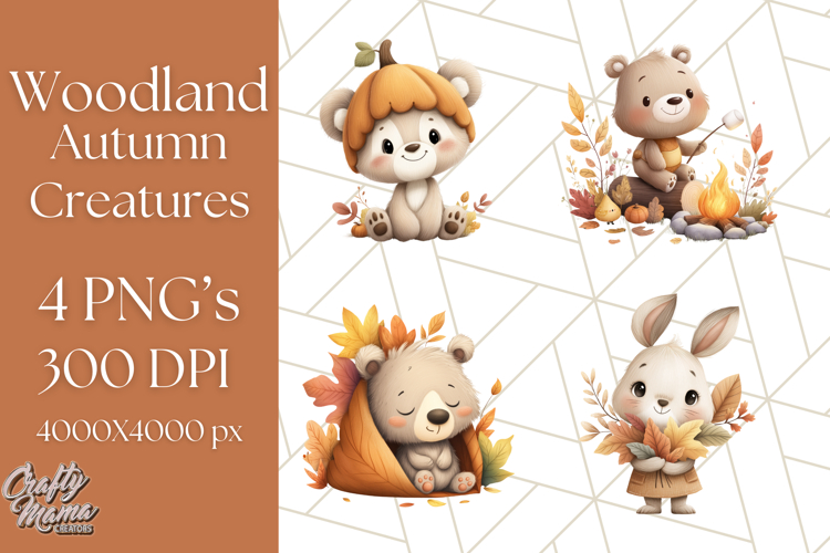 Squirrel Png Image 19