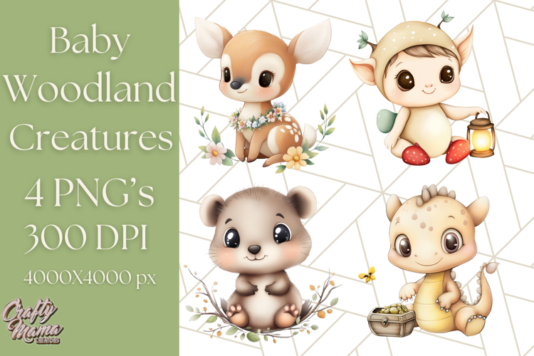 Forest Png Image 24