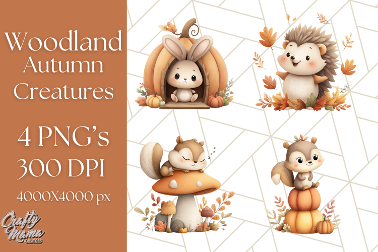 Squirrel Png Image 18