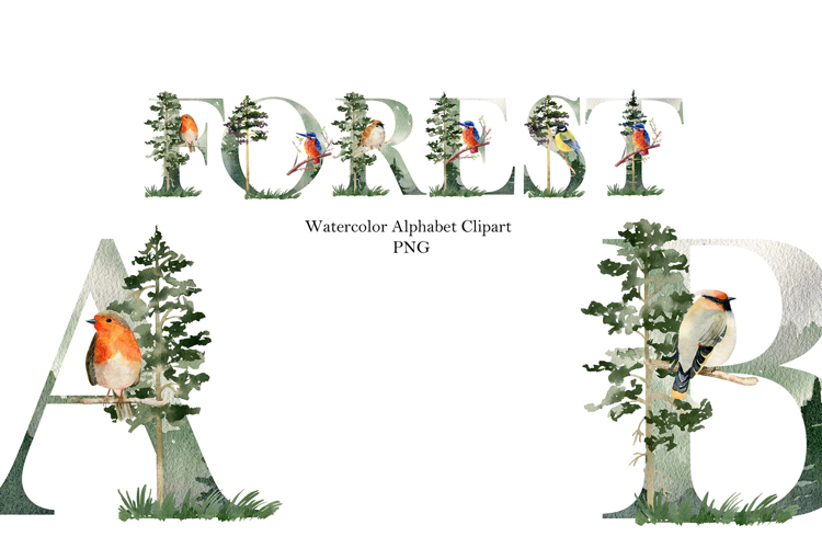 Watercolor forest alphabet with birds.