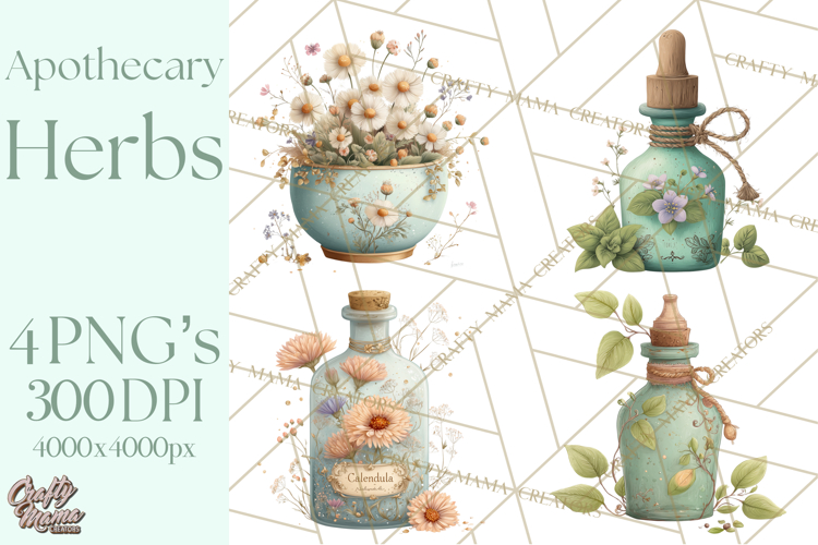 Spring Illustration Image 21