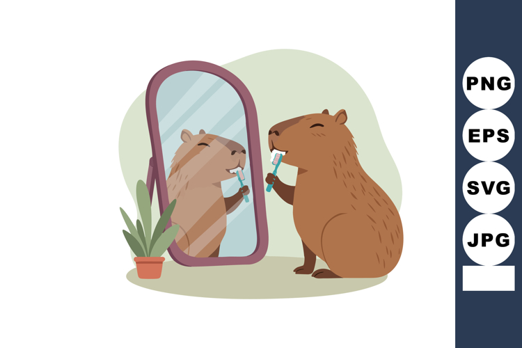Mirror Clipart