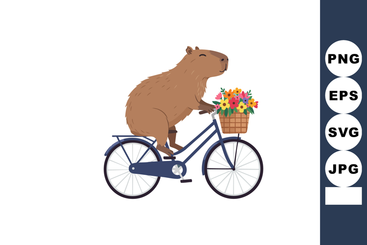 Bicycle Vector Image 9