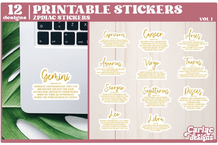 Zodiac Sign Definition Bundle | Zodiac Sign Stickers | Vol 1