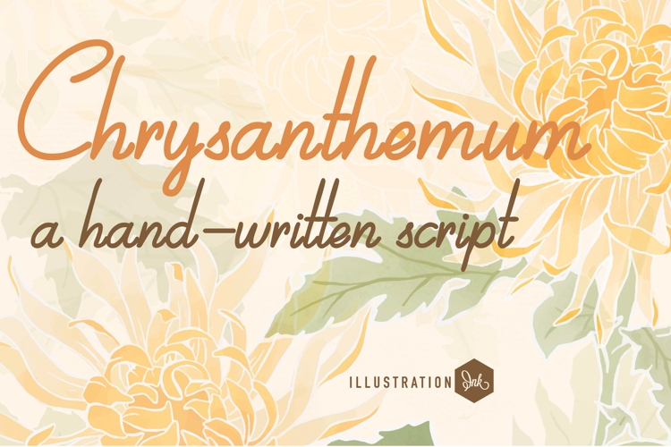 Chrysanthemum