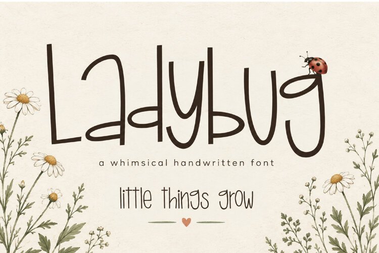 Ladybug | Whimsical Handwritten Font example image 1
