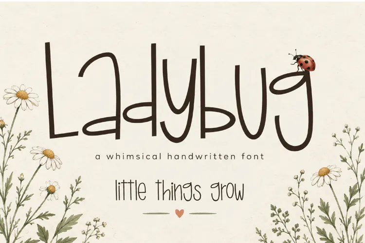Ladybug | Whimsical Handwritten Font