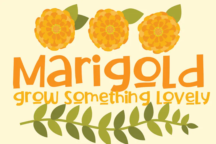 Marigold | Whimsical Sans Serif Font
