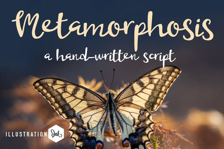 Metamorphosis Font Family